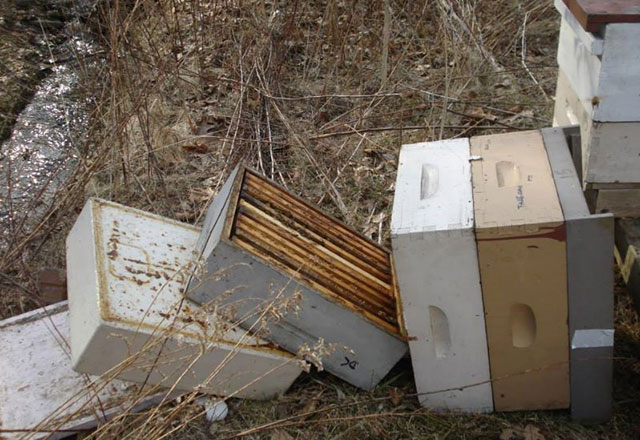 Beehives at the community garden / submitted photo