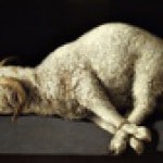 Agnus Dei painting by Francisco Zurbarán