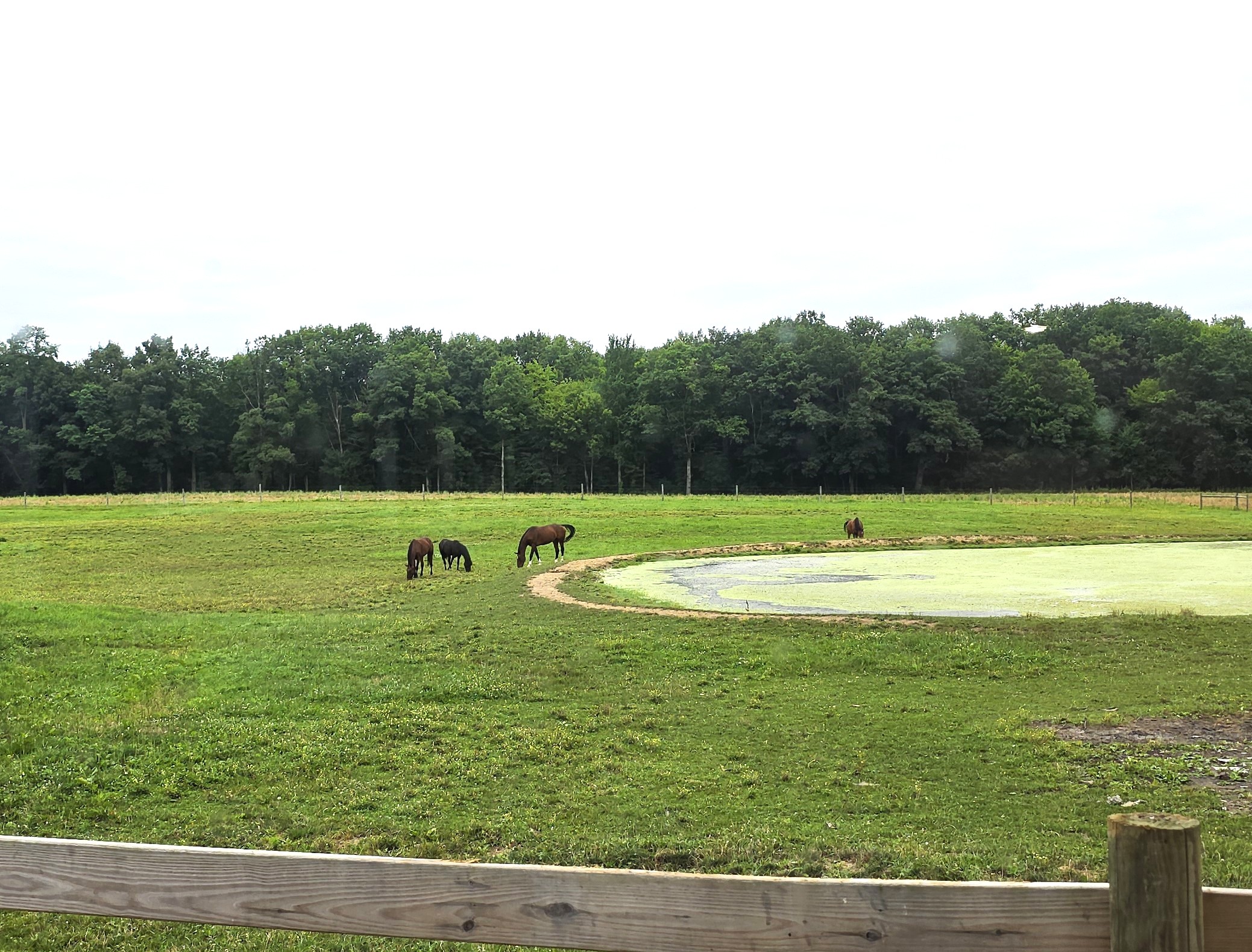Brennemen’s Farm Buffet