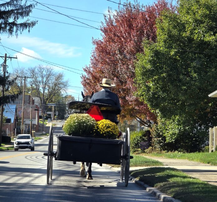 Amish in New Wilmington